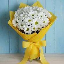 Букет цветов из:  Хризантемы #REPLACE_PRED# Кикнур