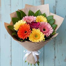 Букет цветов из:  Герберы #REPLACE_PRED# Кикнур