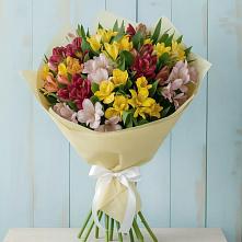 Букет цветов из:  Альстромерии в Кикнур